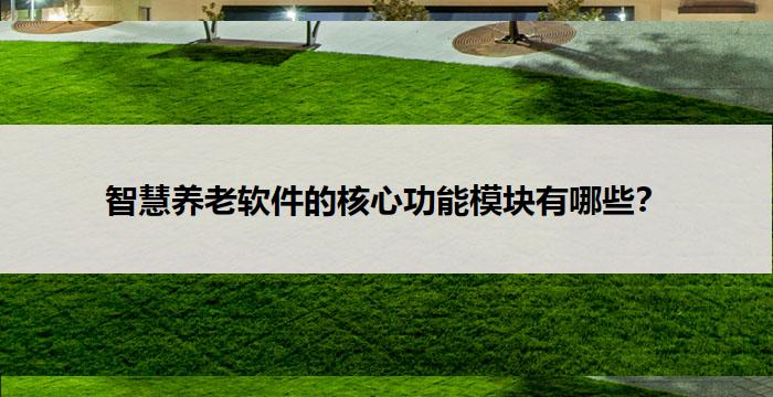 智慧养老软件的核心功能模块有哪些?