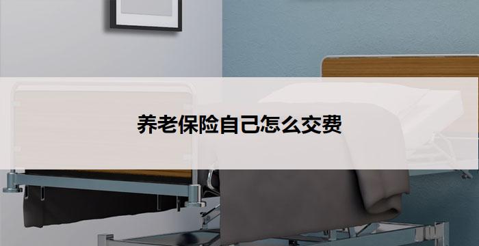 养老保险自己怎么交费(养老保险自费交费攻略)