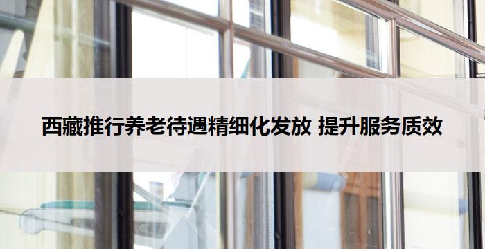 西藏推行养老待遇精细化发放 提升服务质效