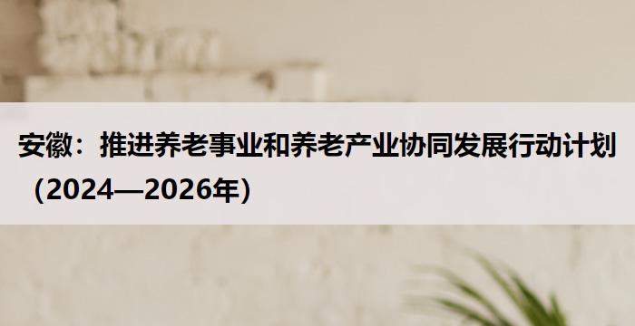 安徽:推进养老事业和养老产业协同发展行动计划(2024—2026年)