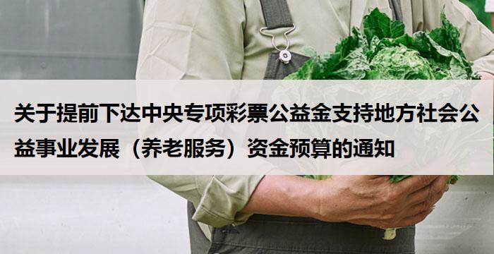 关于提前下达中央专项彩票公益金支持地方社会公益事业发展(养老服务)资金预算的通知