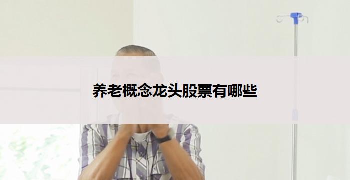 养老概念龙头股票有哪些