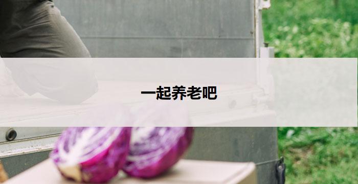 一起养老吧(一起养老，共享幸福)