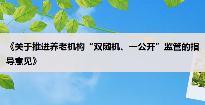 《关于推进养老机构“双随机、一公开”监管的指导意见》