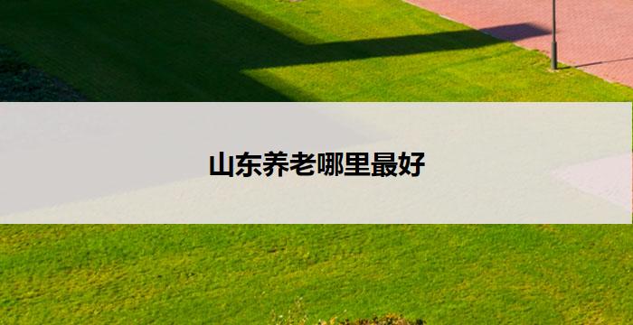 山东养老哪里最好(山东养老:哪里最适合?)