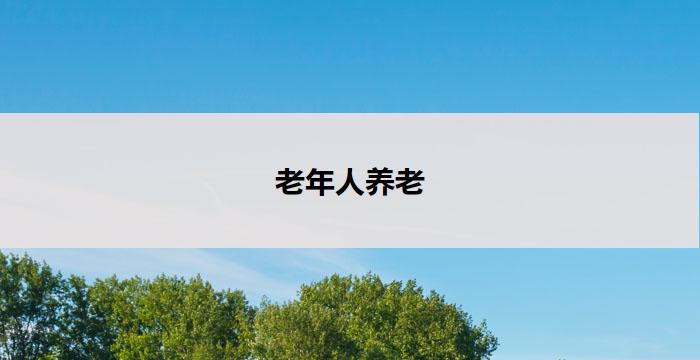 老年人养老(老有所养：以老年人为中心的养老服务)