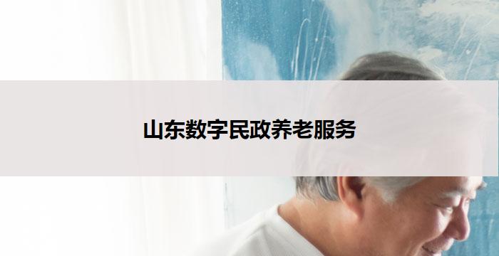 山东数字民政养老服务(山东数字民政养老服务:创新助力老年人幸福晚年)