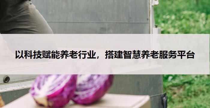 以科技赋能养老行业，搭建智慧养老服务平台