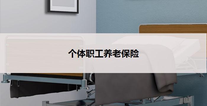 个体职工养老保险(个体职工养老保险：安心享受晚年)