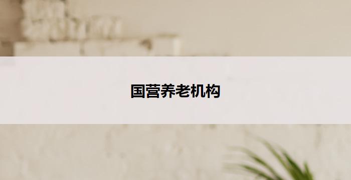国营养老机构(国营养老机构:为老年人提供贴心服务)