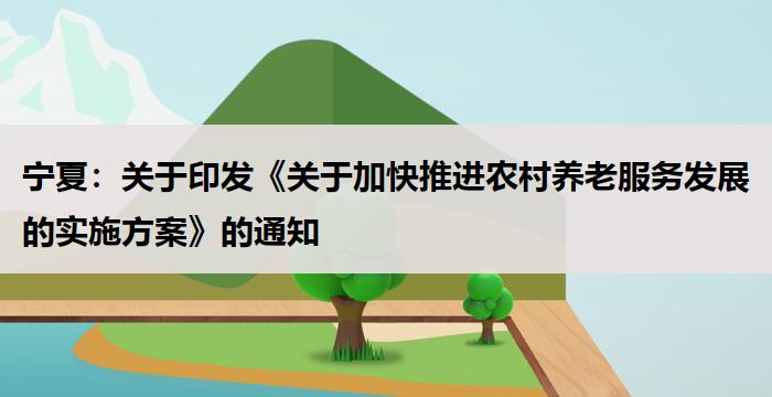 宁夏：关于印发《关于加快推进农村养老服务发展的实施方案》的通知