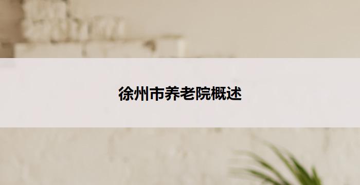 徐州市养老院概述