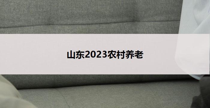 山东2023农村养老(山东2023：农村养老新蓝图)