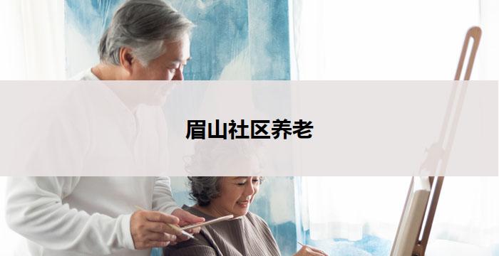眉山社区养老(眉山社区：以养老为中心)