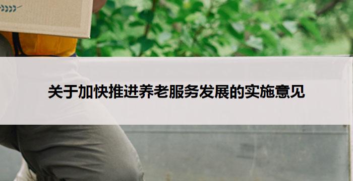 关于加快推进养老服务发展的实施意见