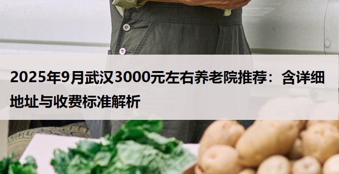 2025年9月武汉3000元左右养老院推荐：含详细地址与收费标准解析