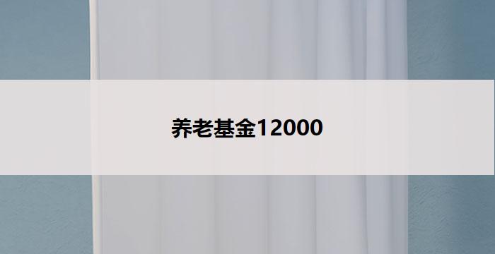 养老基金12000(以养老基金12000为中心的投资规划)