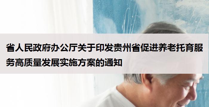 省人民政府办公厅关于印发贵州省促进养老托育服务高质量发展实施方案的通知