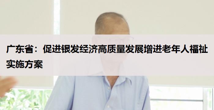 广东省：促进银发经济高质量发展增进老年人福祉实施方案