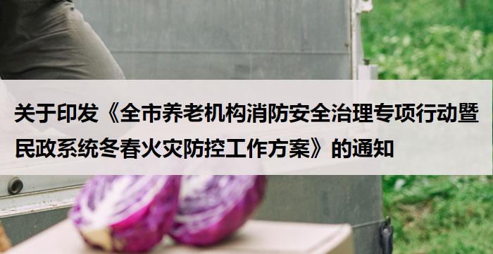 关于印发《全市养老机构消防安全治理专项行动暨民政系统冬春火灾防控工作方案》的通知