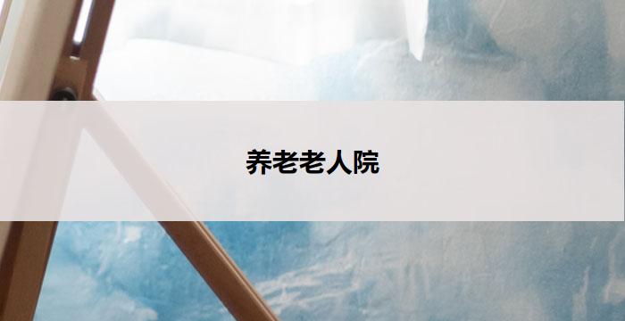 养老老人院(以养老院为核心的服务项目)